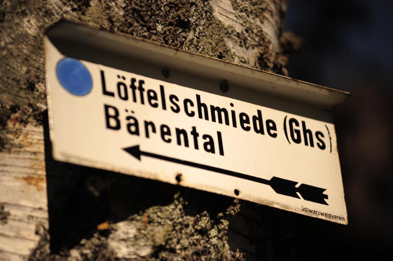 Erfurths Bergfried Ferien & Wellnesshotel 欣特察尔滕 外观 照片